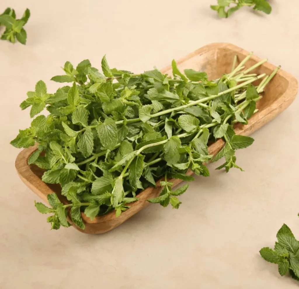 Pudina — Mint Dhaniya Patti (50g)