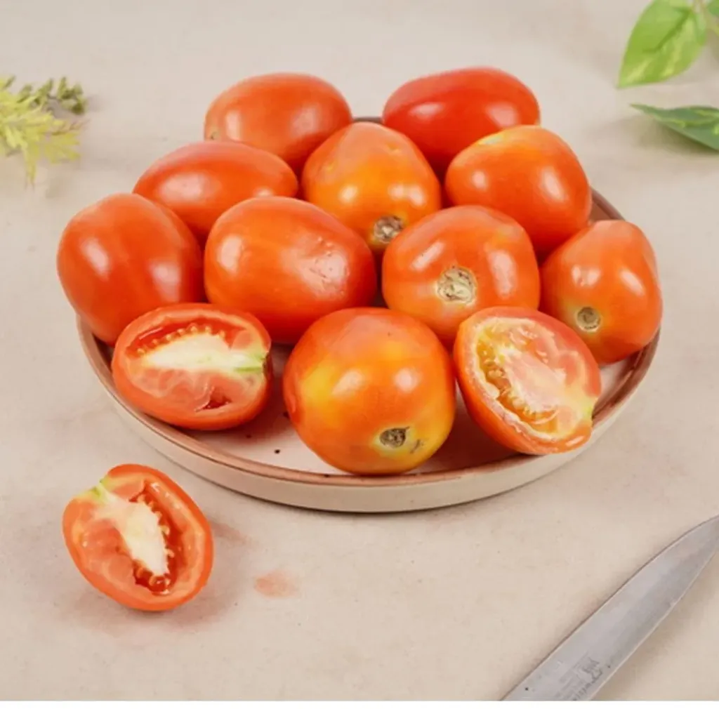 Tamatar — Tomato