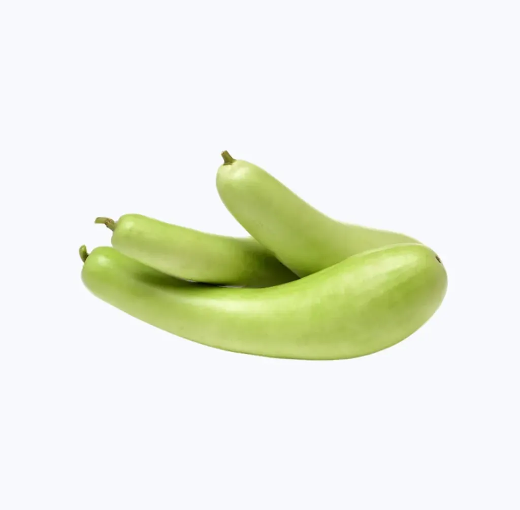 Lauki — Bottle Gourd